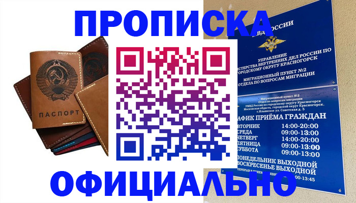 временная прописка в Почепе